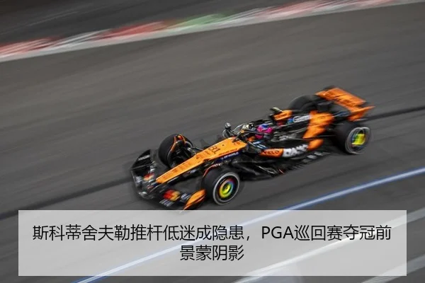 si-ke-di-she-fu-lei-tui-gan-di-mi-cheng-yin-huan-xun-hui-sai-duo-guan-qian-jing-meng-yin-ying-2-923.jpg