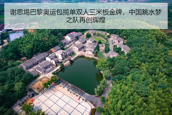 谢思埸巴黎奥运包揽单双人三米板金牌，中国跳水梦之队再创辉煌